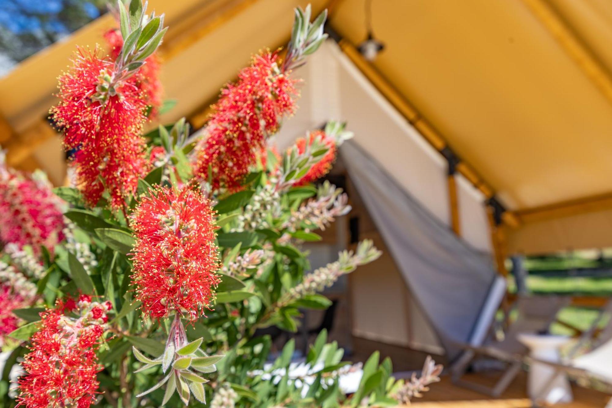 Camp Dole Zivogosce - Mobile Home And Glamping Tent Exterior foto